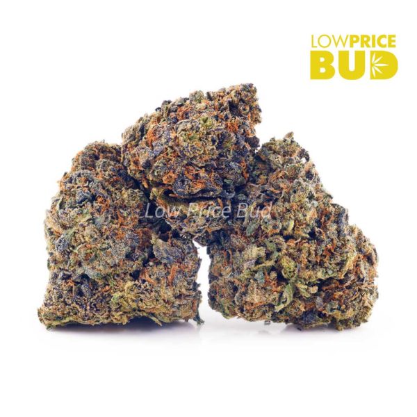 Buy King’s Kush (AA) online Canada