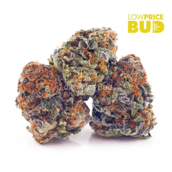 Buy Platinum Cookies (AA) online Canada