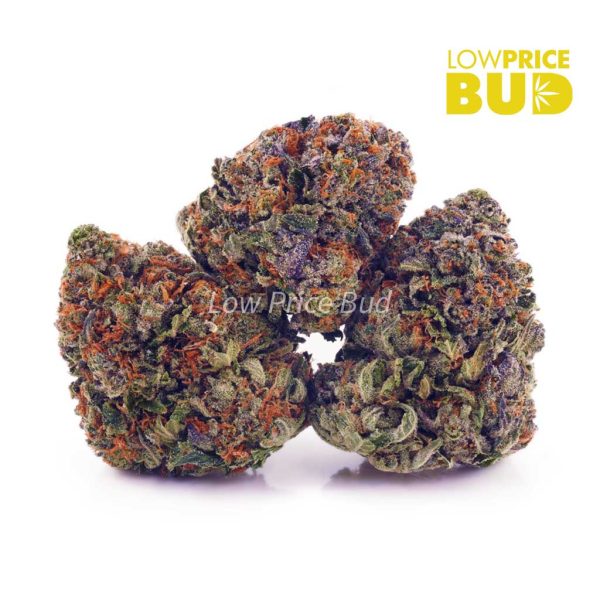 Buy Pink Runtz (AAA) online Canada