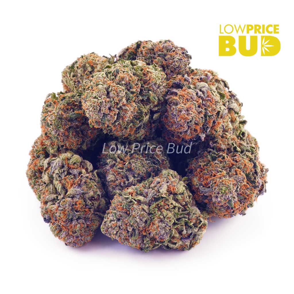 Buy Pink Runtz (AAA) online Canada