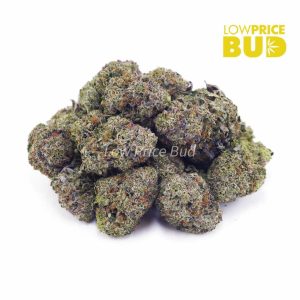 Buy Tom Ford (AAAA) – Popcorn Nugs online Canada