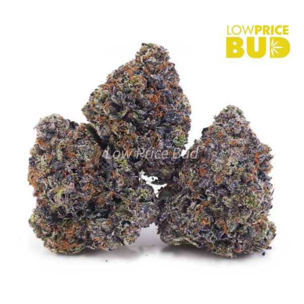 Buy Mike Tyson (Craft Cannabis) online Canada