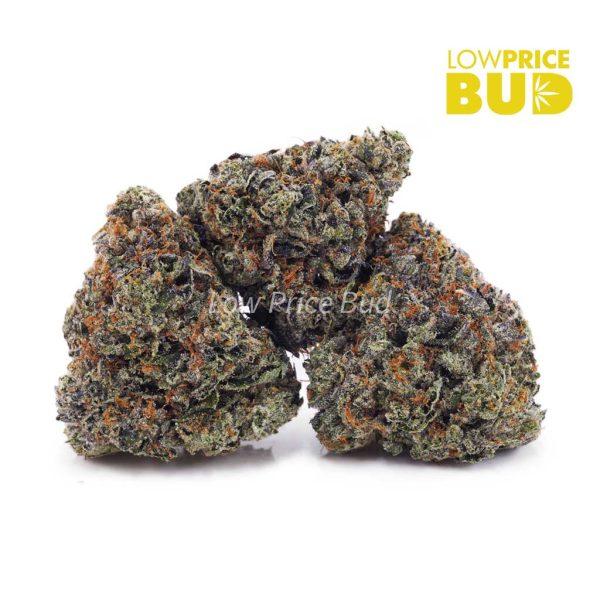 Buy Supreme Gas Mask (Craft Cannabis) online Canada
