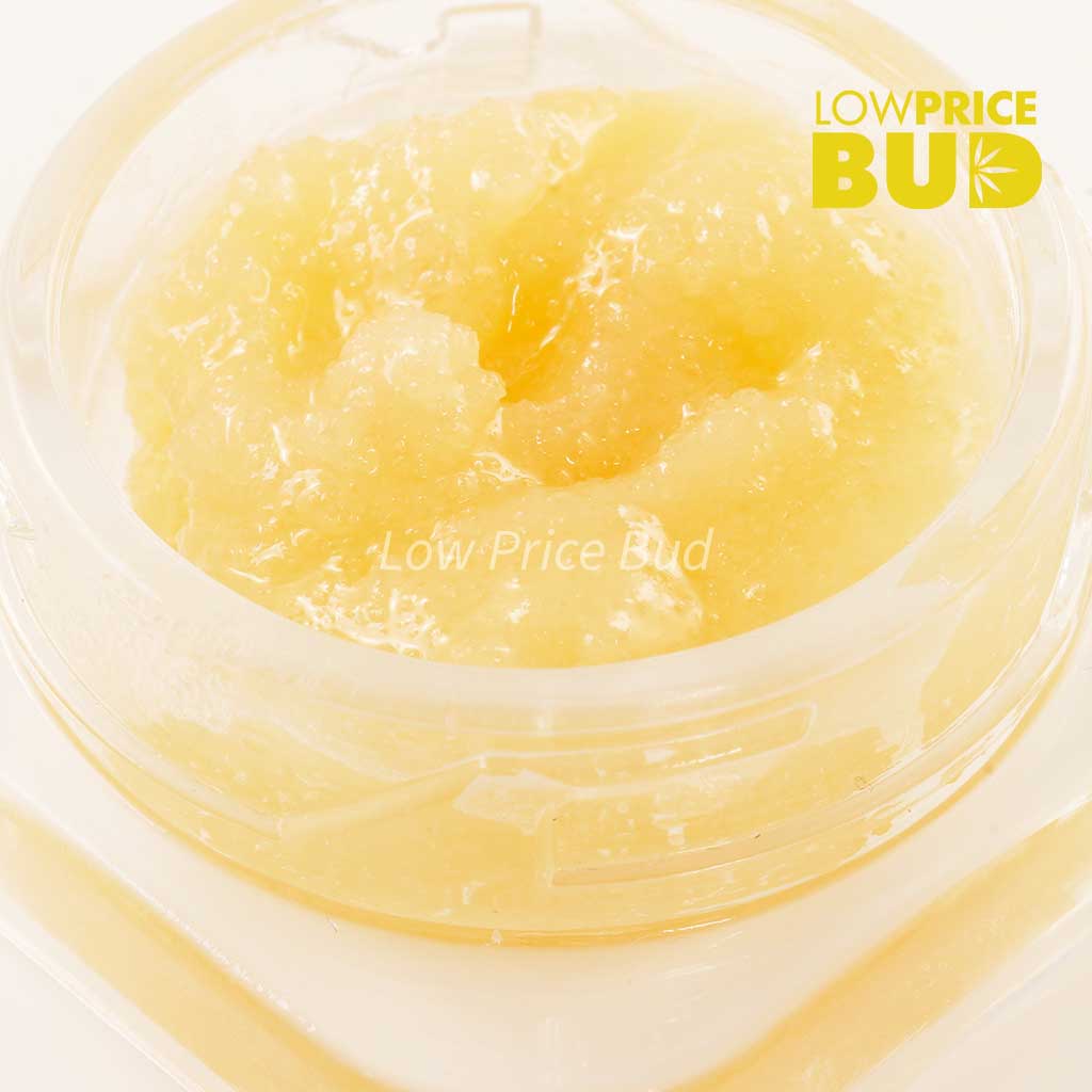 Buy Caviar – Hindu Kush online Canada