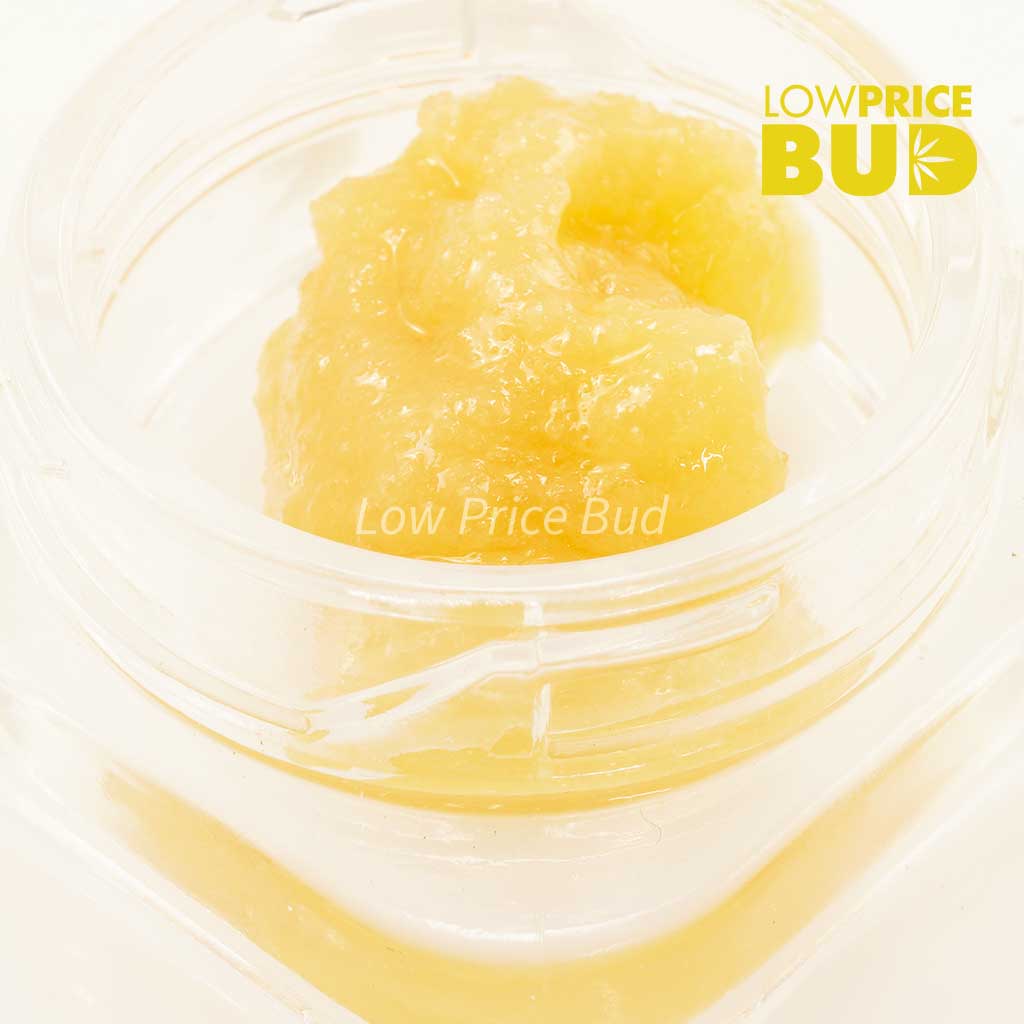 Buy Caviar – Island Pink Kush online Canada