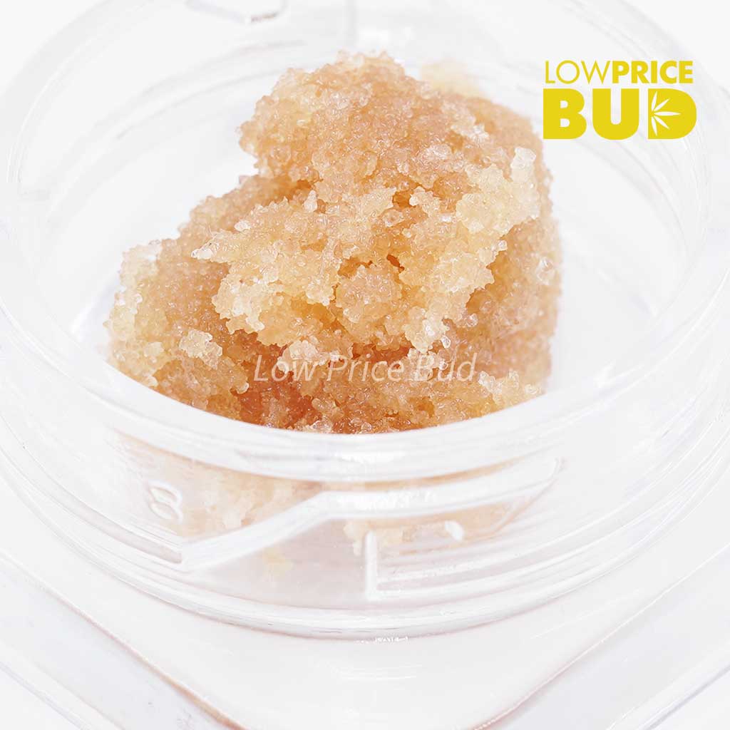 Buy Caviar – King Tut online Canada