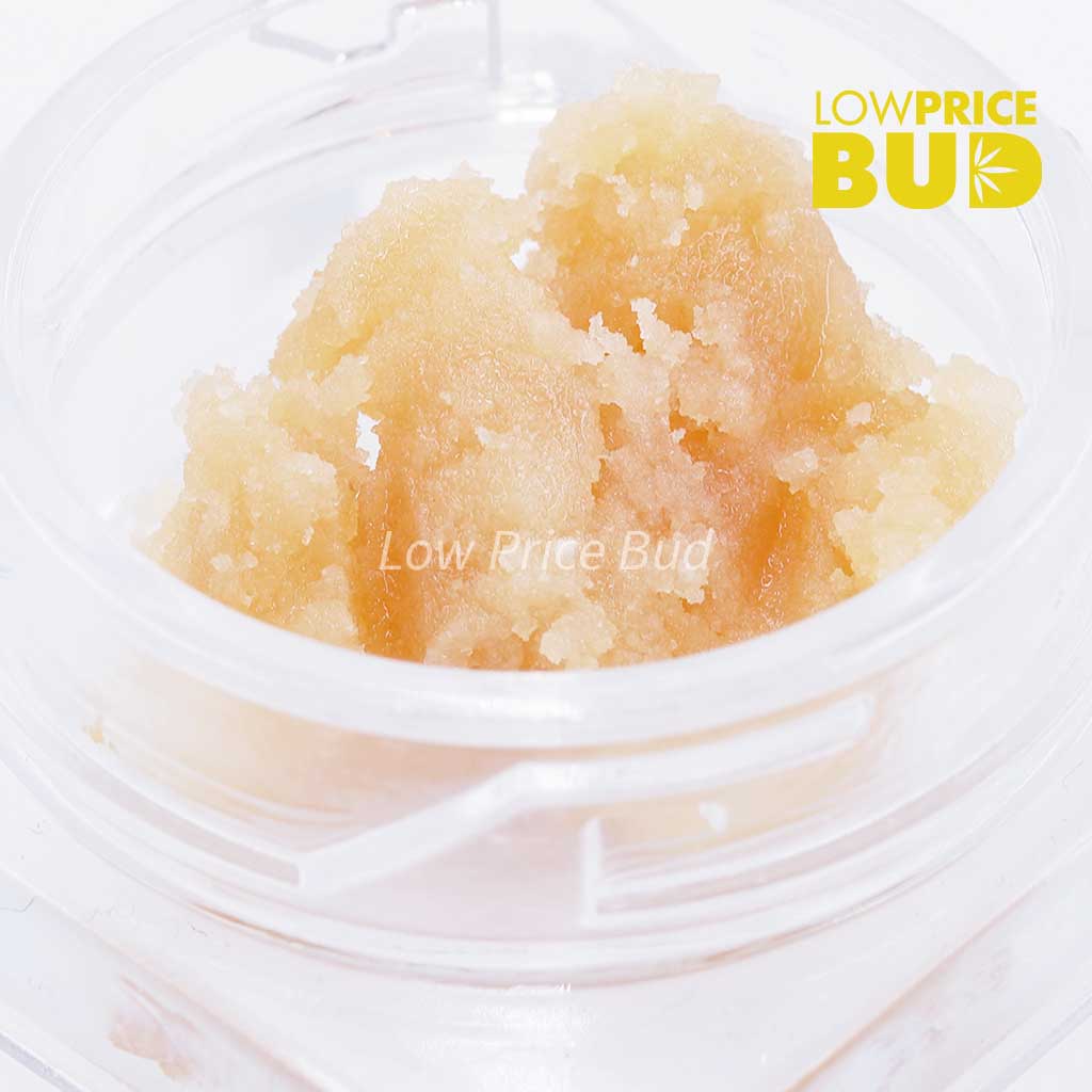 Buy Caviar – Northern Lights online Canada