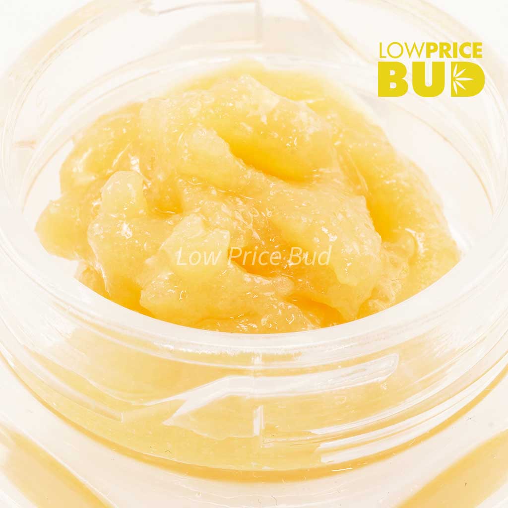 Buy Caviar – Pink Bubba online Canada