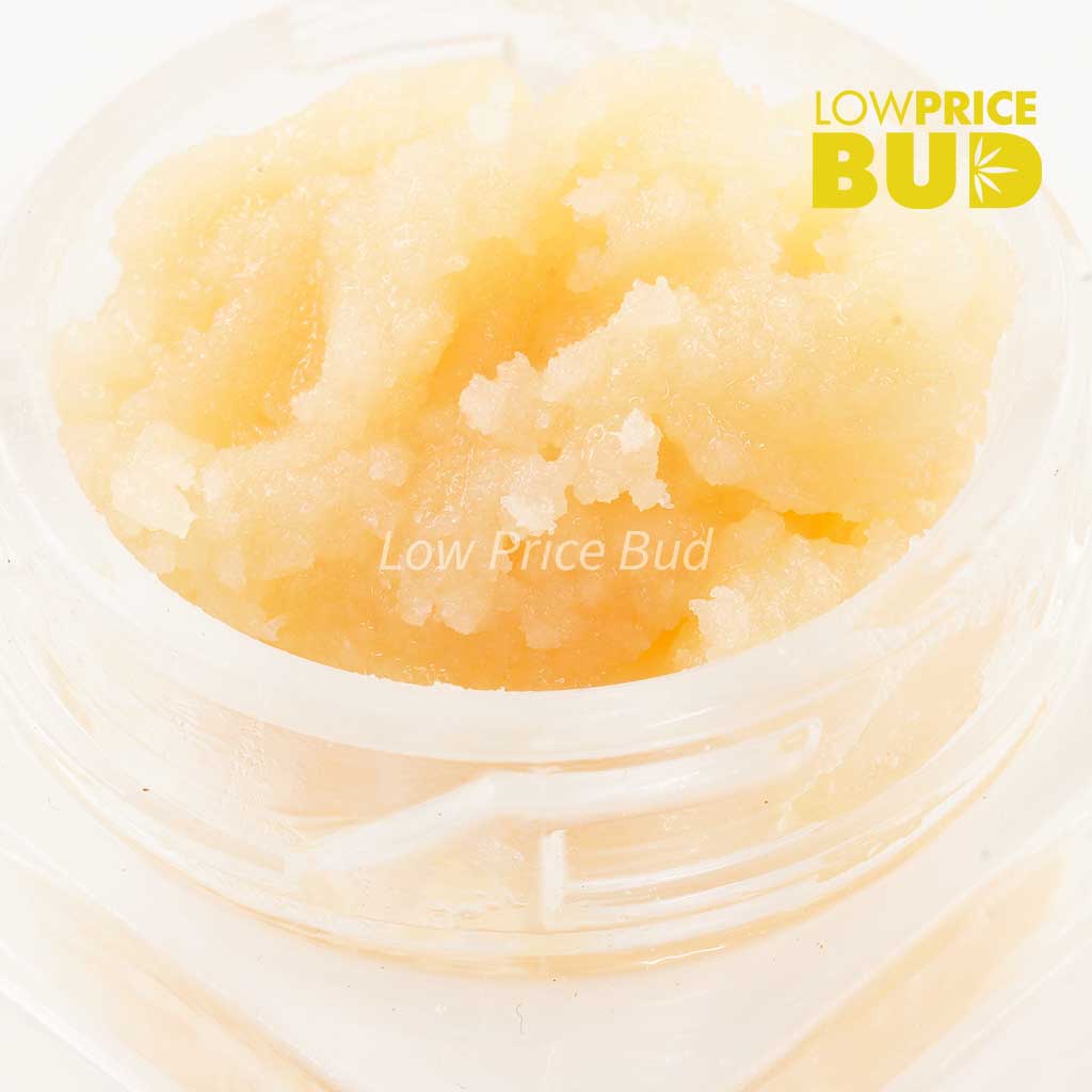 Buy Caviar – Pink Gas Mask online Canada