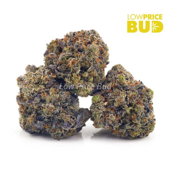 Buy Grape Punch (AAAA) online Canada