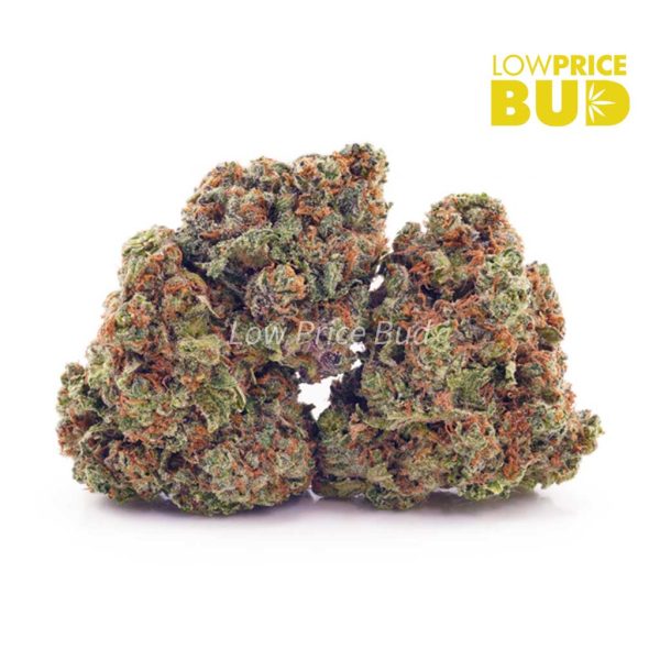 Buy Nirvana (AAA) online Canada