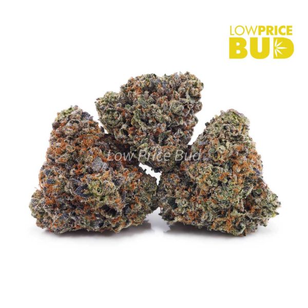 Buy Purple Biscotti (AAAA) online Canada