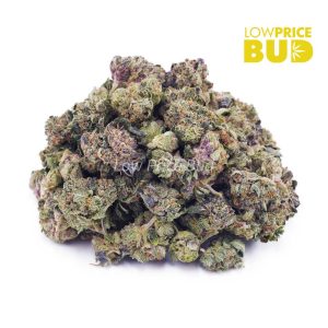 Buy El Jefe (AAAA) – Popcorn Nugs online Canada