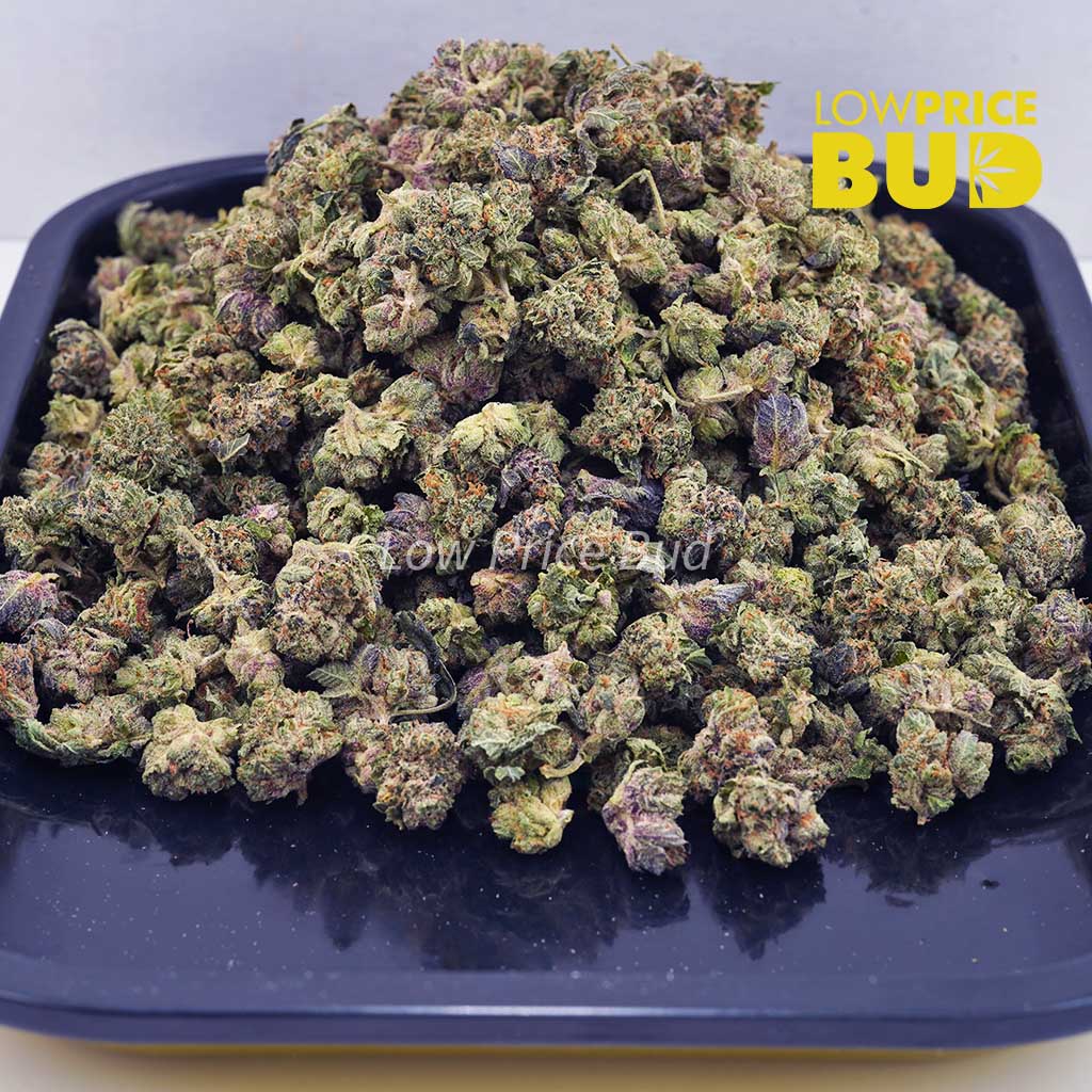 Buy El Jefe (AAAA) – Popcorn Nugs online Canada