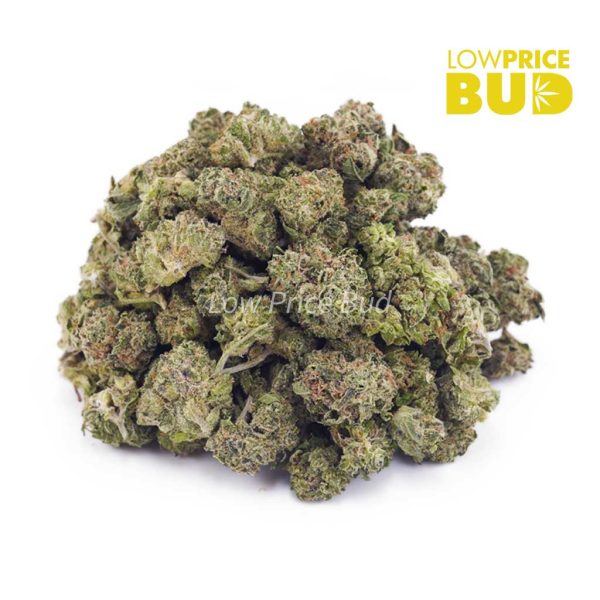 Buy Rainbow Cake (AAA) – Popcorn Nugs online Canada