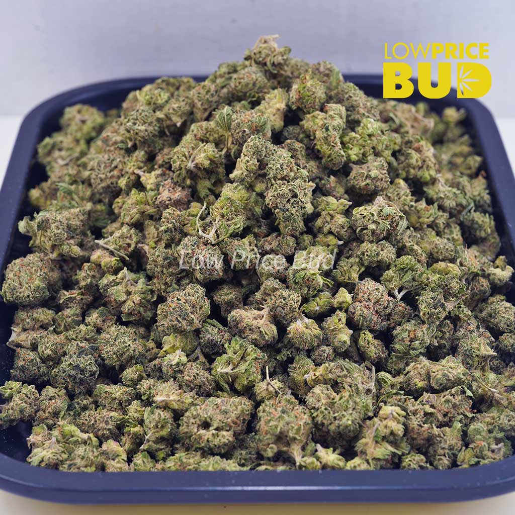 Buy Rainbow Cake (AAA) – Popcorn Nugs online Canada