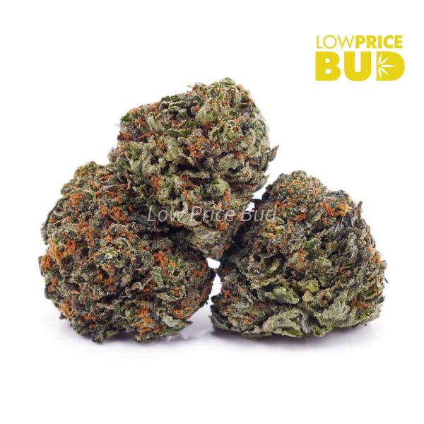 Buy Gorilla Glue #4 (AAAA) online Canada