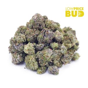 Buy White Rhino (AAAA) – Popcorn Nugs online Canada