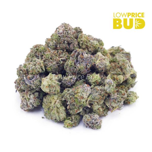Buy White Rhino (AAAA) – Popcorn Nugs online Canada
