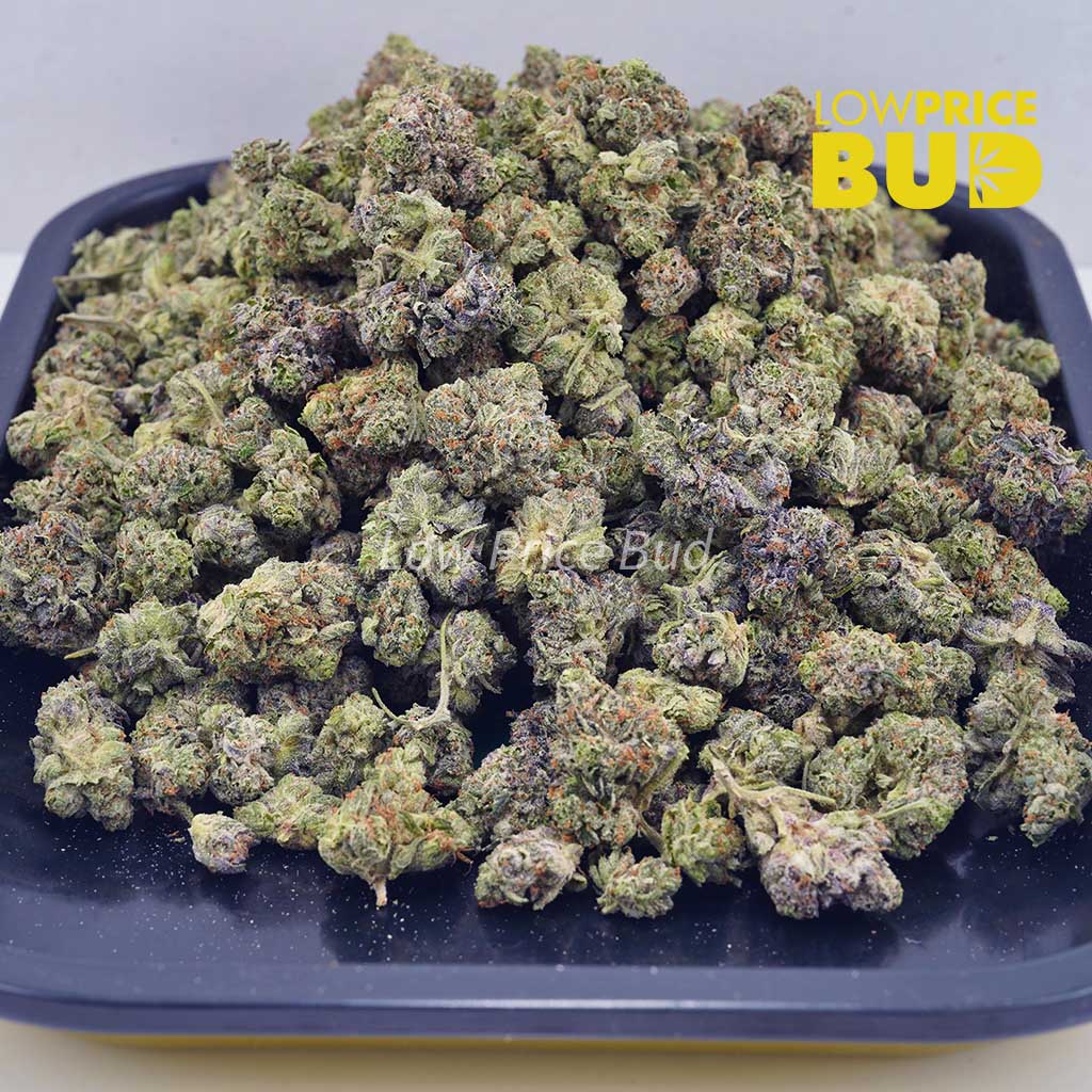 Buy White Rhino (AAAA) – Popcorn Nugs online Canada