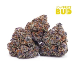 Buy Build Your Own (Craft Cannabis) 7g online Canada
