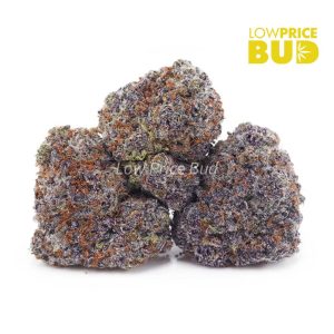 Buy Build Your Own (AAAA) Pound 16 x 28g online Canada