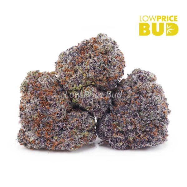 Buy Purple Haze (AAAA) online Canada