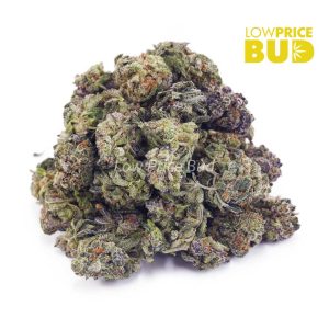 Buy Truffle Cake (AAAA) – Popcorn Nugs online Canada