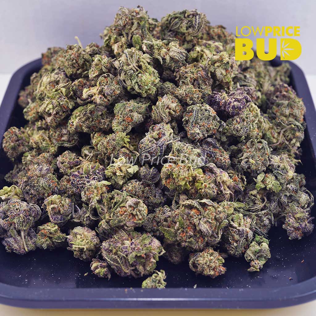 Buy Truffle Cake (AAAA) – Popcorn Nugs online Canada