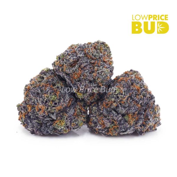 Buy Snoop Dog OG (AAAA) online Canada