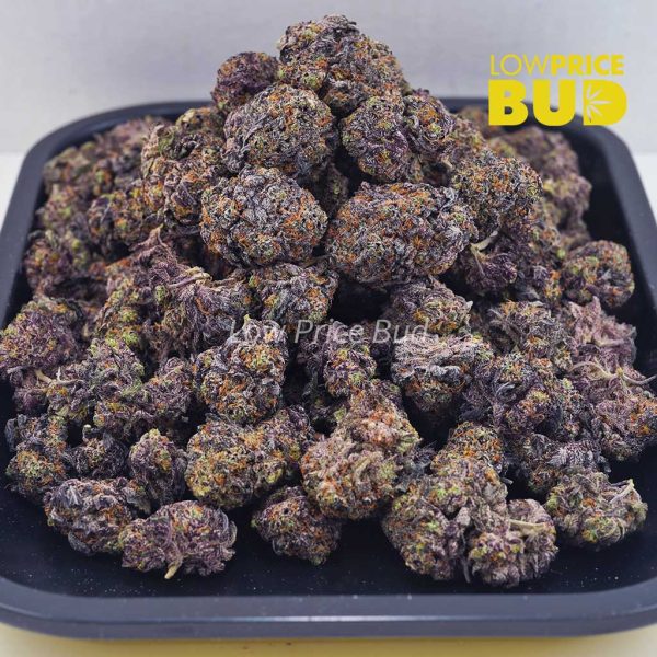 Buy Snoop Dog OG (AAAA) online Canada
