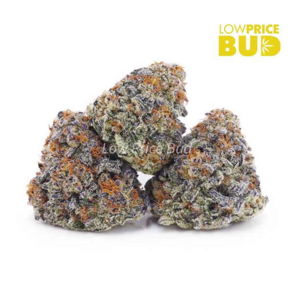 Buy Do Si Do (AAA) online Canada