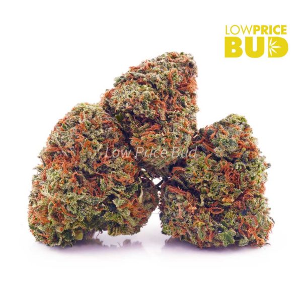 Buy OG Kush (AAA) online Canada