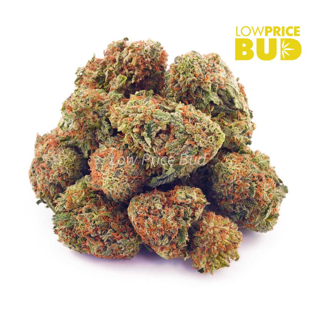 Buy OG Kush (AAA) online Canada