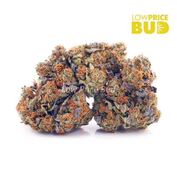 Buy King Kong (AAAA) online Canada