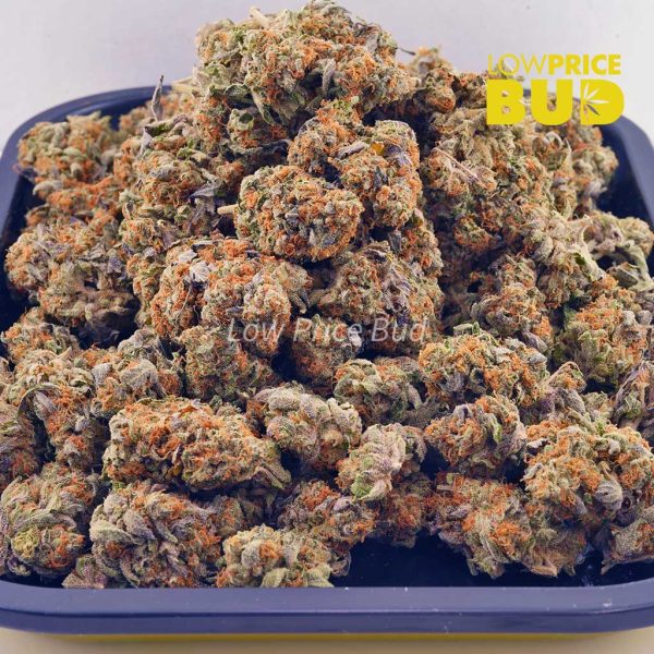 Buy King Kong (AAAA) online Canada