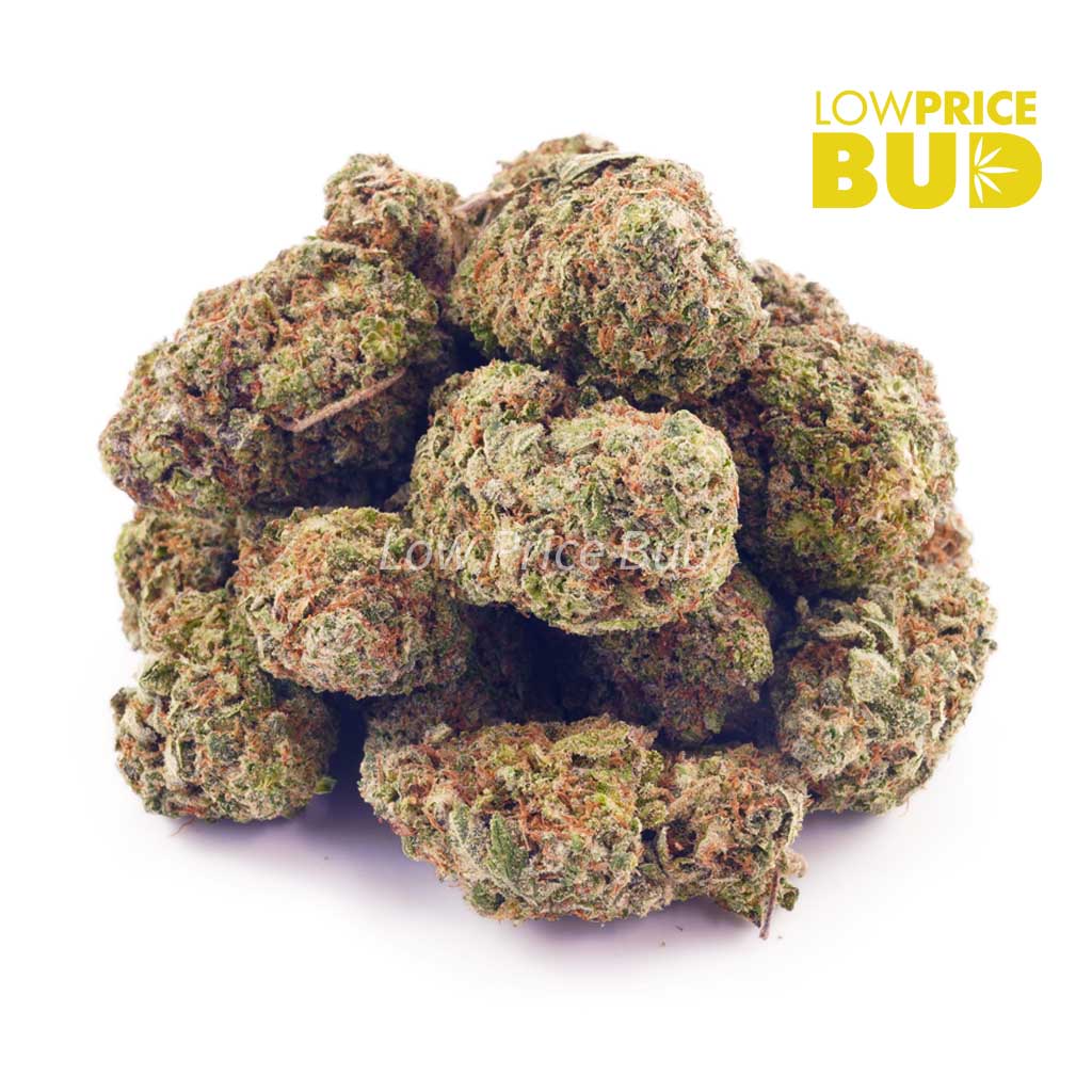 Buy Romulan (AA) online Canada