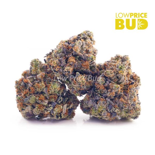 Buy Birthday Cake Kush (AAA) online Canada