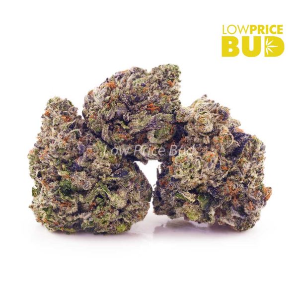 Buy High Octane (AAAA) online Canada
