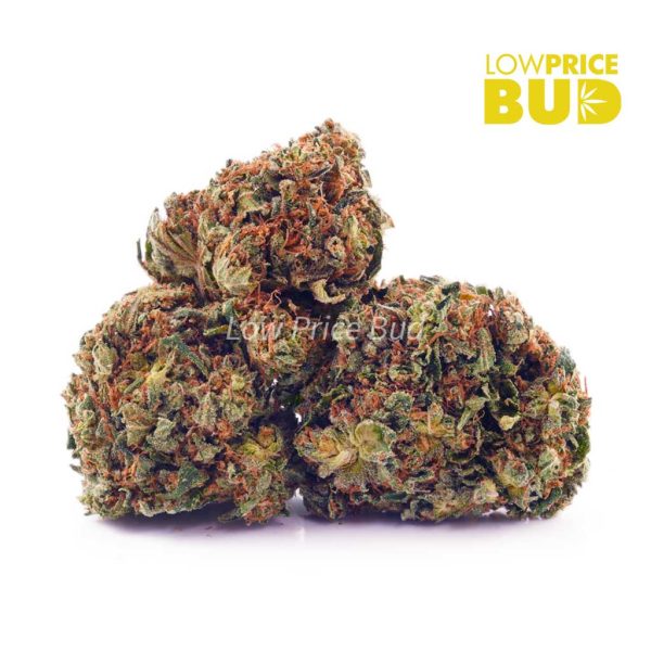 Buy Cali Kush (AAA) online Canada