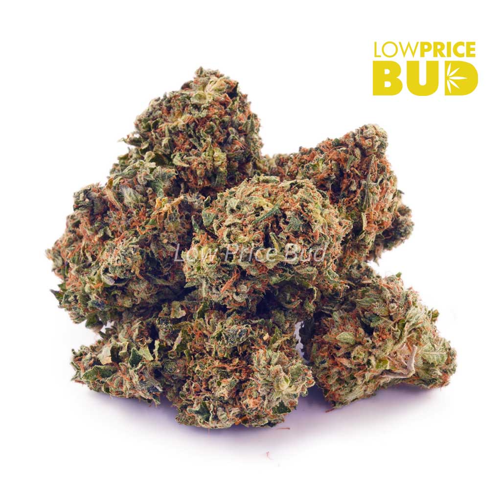 Buy Cali Kush (AAA) online Canada