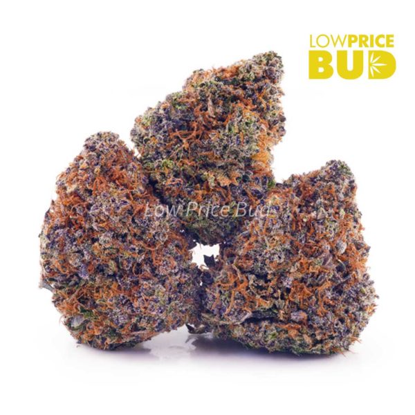 Buy Cherry Pie (AAA) online Canada