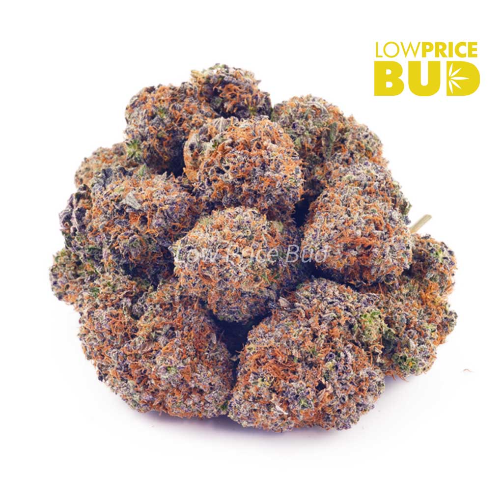 Buy Cherry Pie (AAA) online Canada