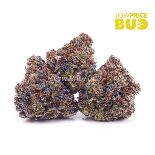 Buy Purple Candy (AAAA) online Canada