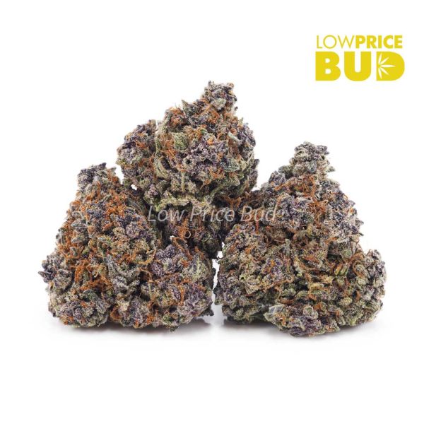 Buy Purple Urkle (AAAA) online Canada