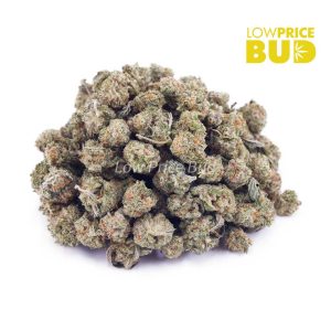 Buy Georgia Pie (AAAA) – Popcorn Nugs online Canada