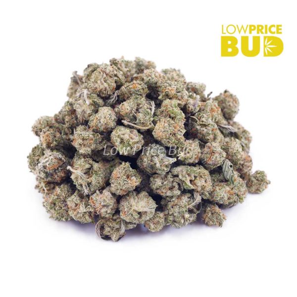Buy Georgia Pie (AAAA) – Popcorn Nugs online Canada