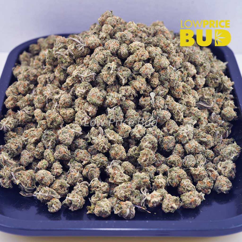 Buy Georgia Pie (AAAA) – Popcorn Nugs online Canada