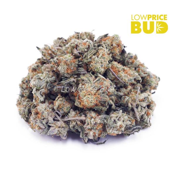 Buy Cookie Crasher (AAAA) – Popcorn Nugs online Canada
