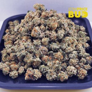 Buy Cookie Crasher (AAAA) – Popcorn Nugs online Canada